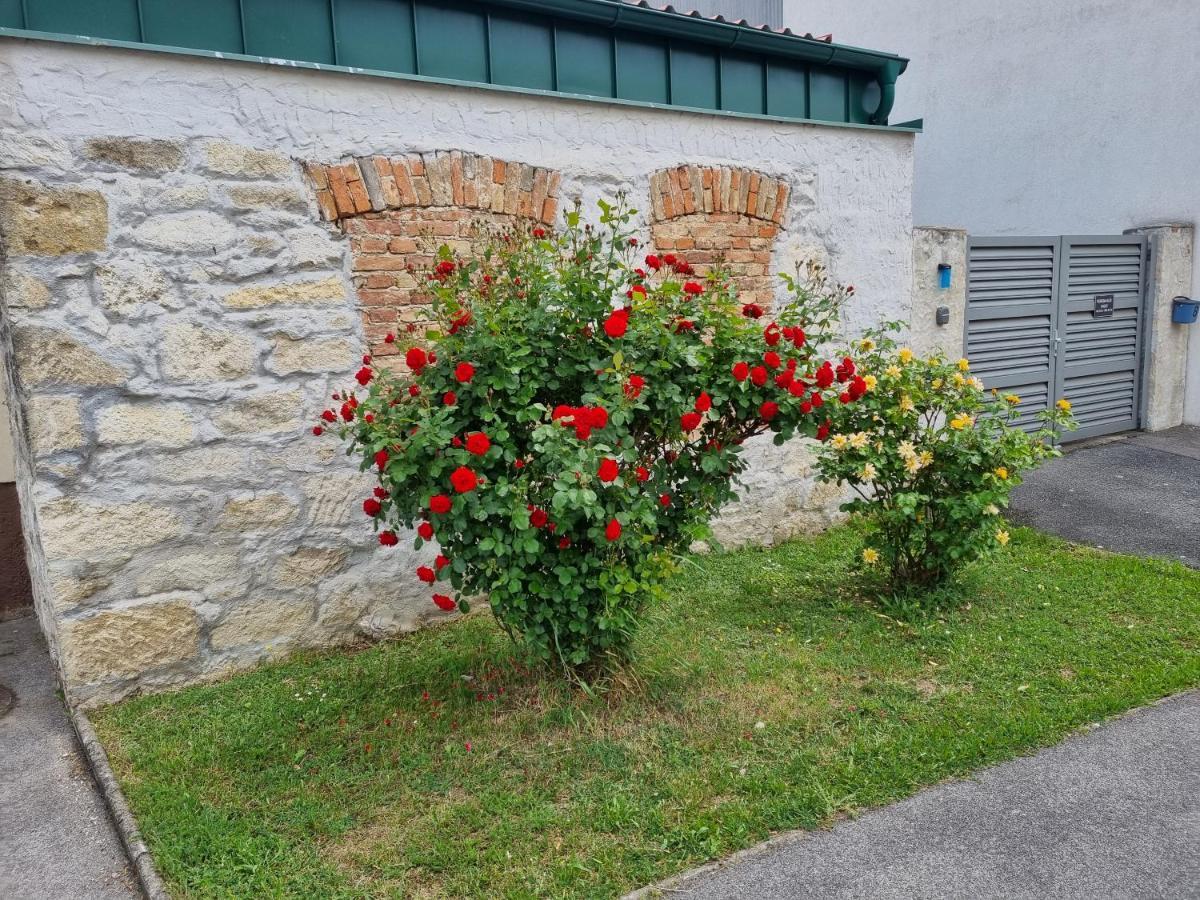Ferienhaus Rado Sásony Kültér fotó