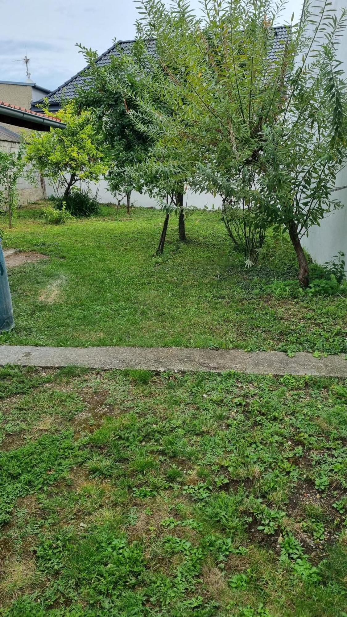 Ferienhaus Rado Sásony Kültér fotó